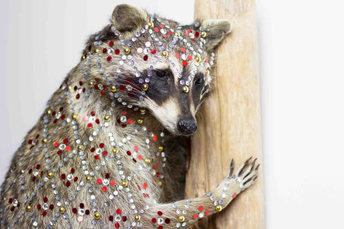 Sequined Raccoon by Cassandra Smith at Surety Hotel, Des Moines