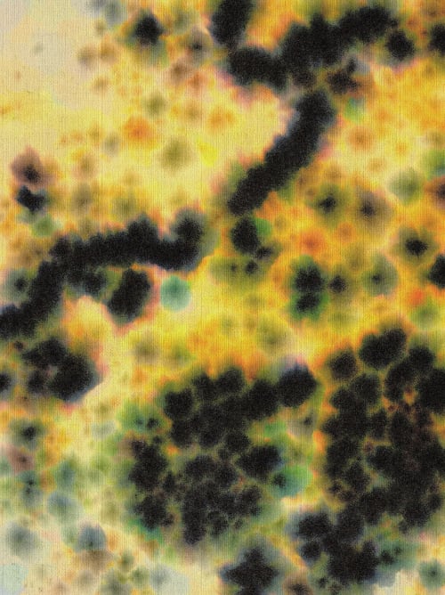 Lemon Wool - Limited Edition Yellow Abstract Giclée Art | Paintings by ZYŪMIN