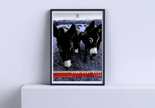 Donkeys-B2 | Prints by Yole Design Studio