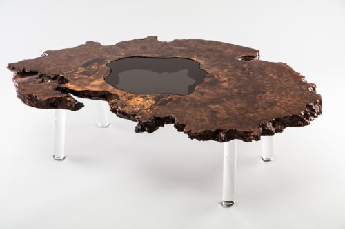 Claro Walnut Burl Ring on Lucite Coffee Table | Tables by Lumberlust Designs | Private Residence in Kansas City, KS in Kansas City