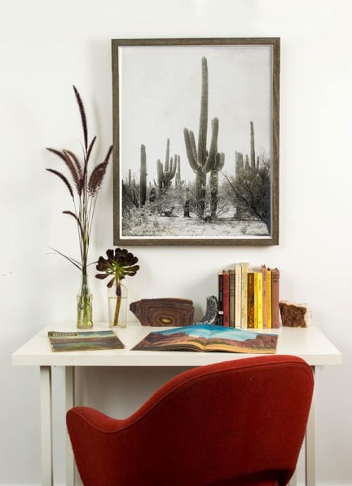 Vintage Tucson Saguaro Cactus | Photography by Capricorn Press