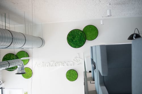 G-Circles | Wall Treatments by Alain Gilles | AstraZeneca NV in Dilbeek