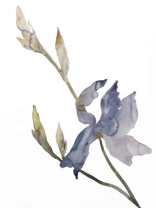 Iris No. 170 : Original Watercolor Painting | Paintings by Elizabeth Becker
