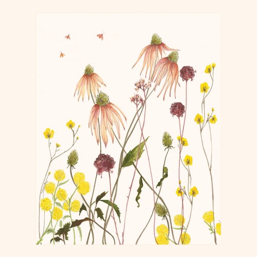 Garden Flowers | Prints by Elana Gabrielle