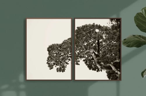 Kings Canyon | Photography by Renee Torres