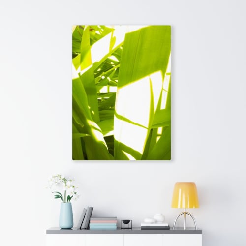 Sunkissed_3602  --  the life-giving energy of nature | Art & Wall Decor by Petra Trimmel