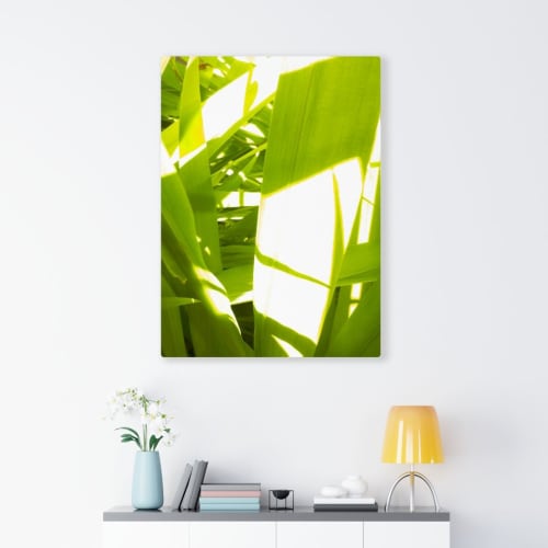 Sunkissed_3602  --  the life-giving energy of nature | Paintings by Petra Trimmel
