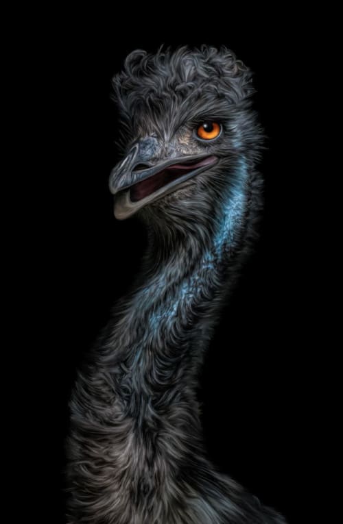 Bite Me | Photography by Judy Reinford