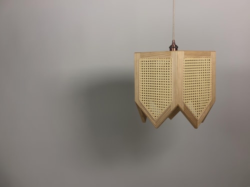 Tulip Pendant Lamp | Pendants by Coda Wood Studio