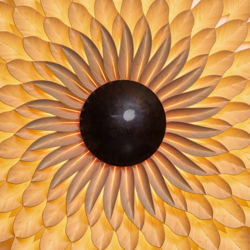 Sun in Bamboo | Wall Sculpture in Wall Hangings by Edward Linacre