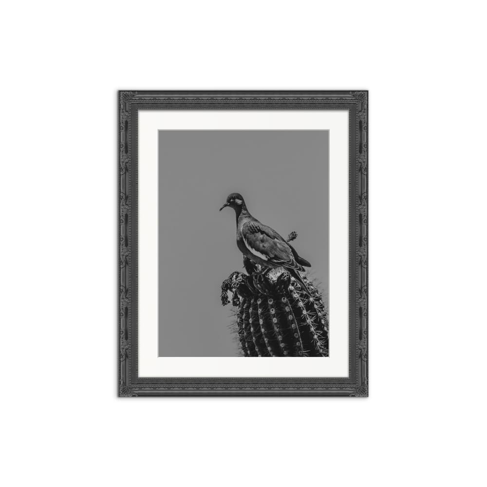 perch-b-w-southwest-photography-minimalist-print-by-jess-ansik