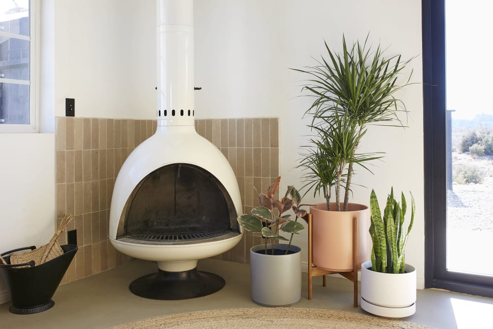 LBE Design - Planters & Garden and Interior Design | Wescover