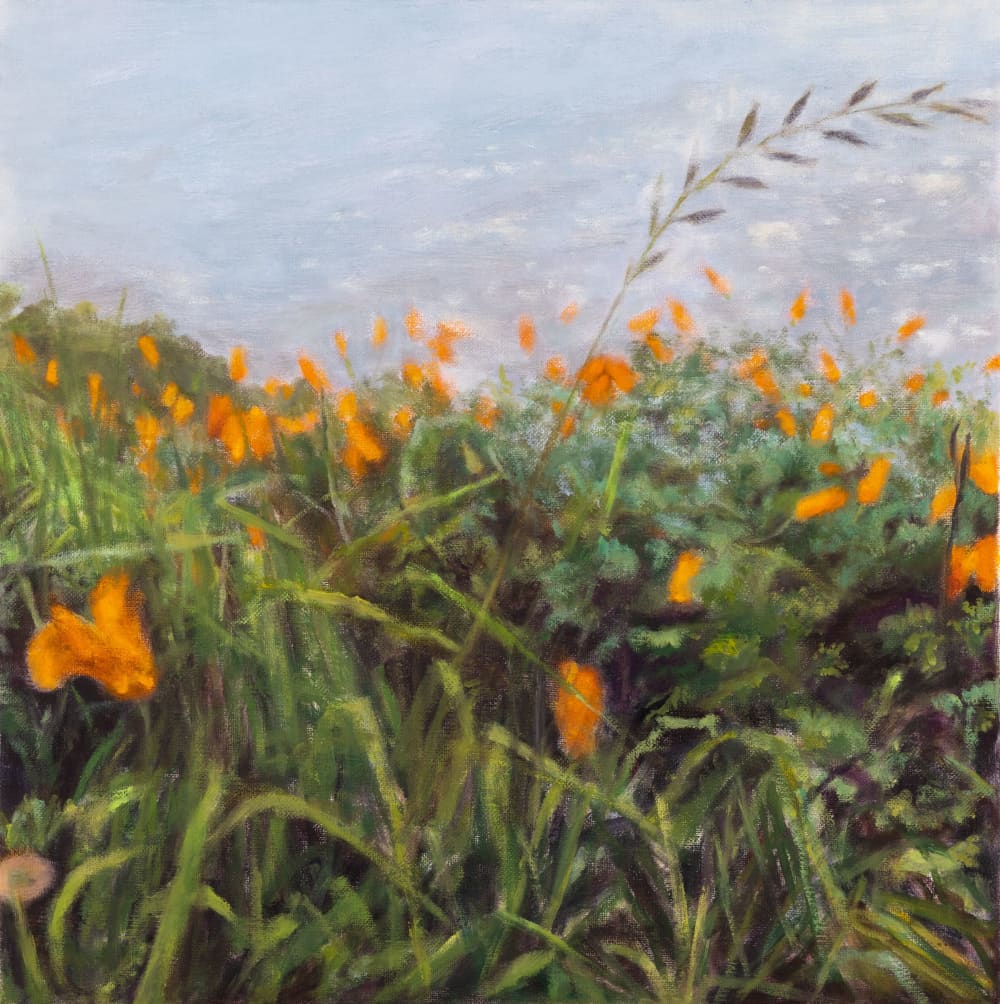 California Poppies by Sally K. Smith Artist | Wescover Paintings