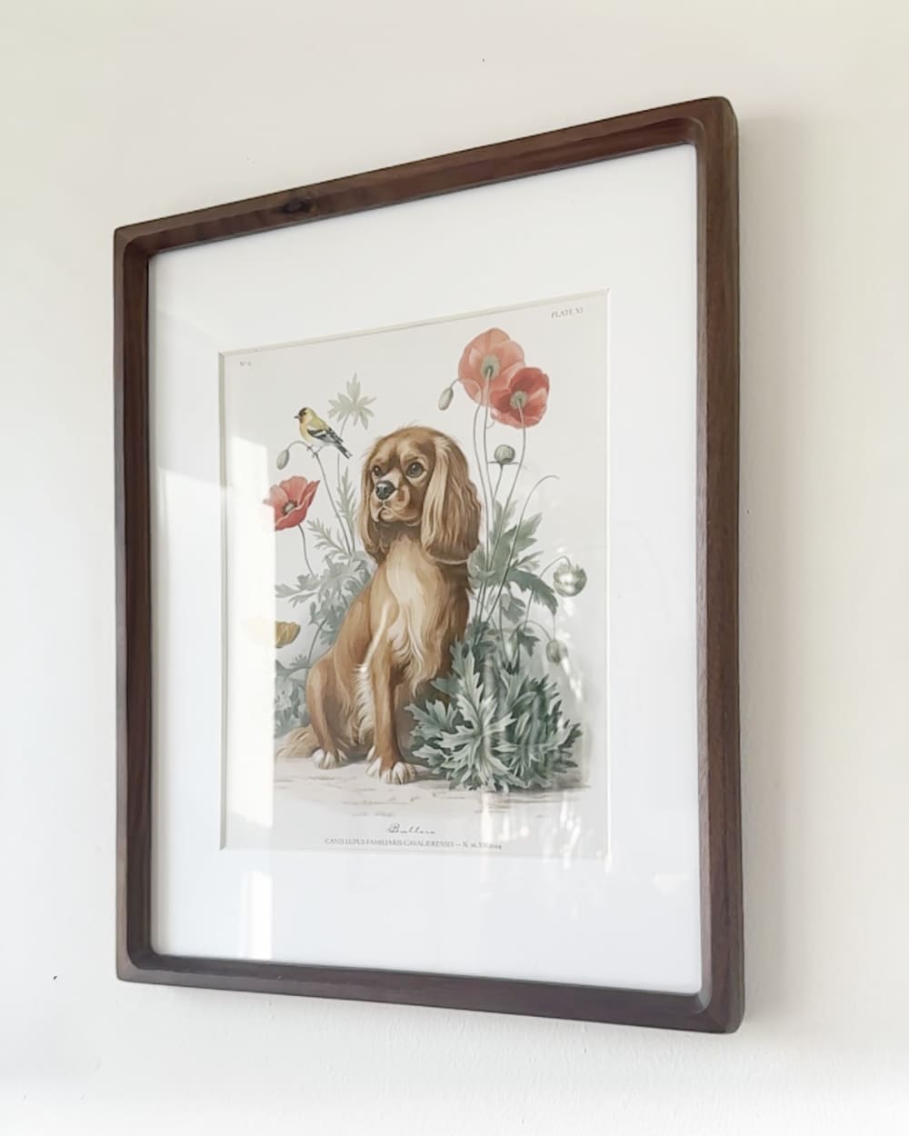 Bespoke Pet Portrait by Studio Linnæus | Wescover Prints
