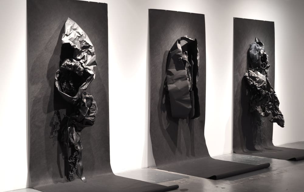 Uncloaked (Installation View) by ELYSE DEFOOR at Thomas Deans Fine Art ...