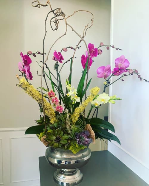 Orchid and Succulent | Floral Arrangements by Fleurina Designs
