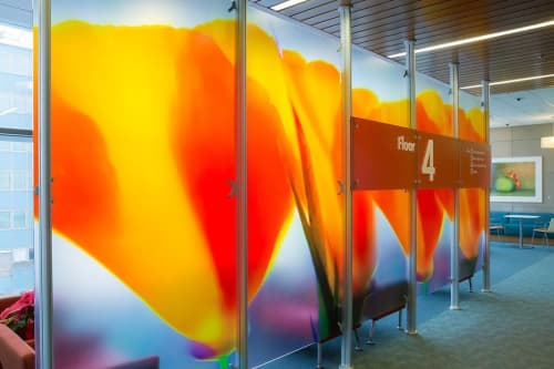 California Poppy | Photography by The WinterBadger Collection | Kaiser Permanente Redwood City Medical Center in Redwood City