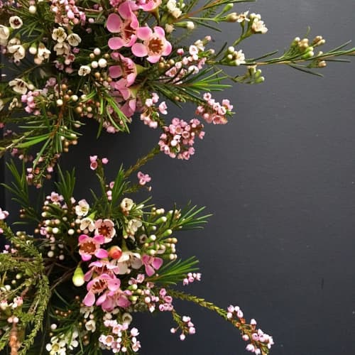 Floral Arrangement | Floral Arrangements by Fox Fodder Farm | L'estudio in New York
