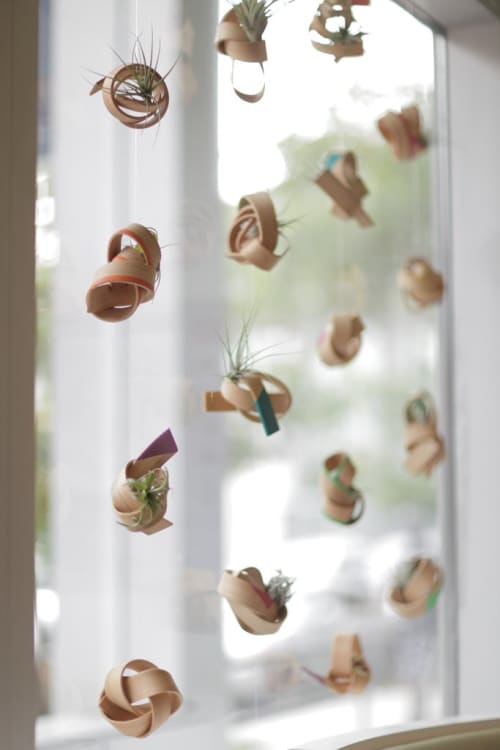 Suspended Air Plant | Vases & Vessels by Art of Plants and Elliptic Designs | 16 Handles in Brooklyn