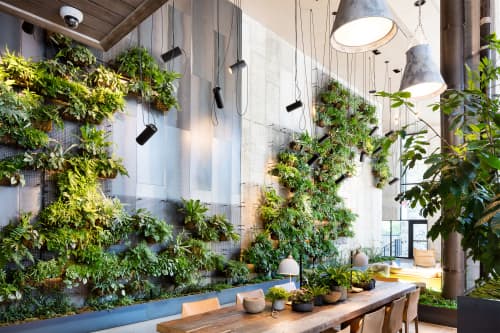 Living Wall | Plants & Flowers by Harrison Green | 1 Hotel Brooklyn Bridge in Brooklyn