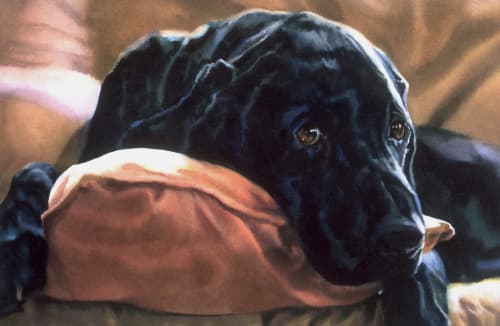 Lewis - One Half of Whole | Watercolor Painting in Paintings by Karen Frey | The American Kennel Club Museum of the Dog - St Louis MO in St. Louis. Item made of paper