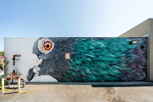Pigeon | Murals by Adele Renault | Graphaids Art Supply in Long Beach