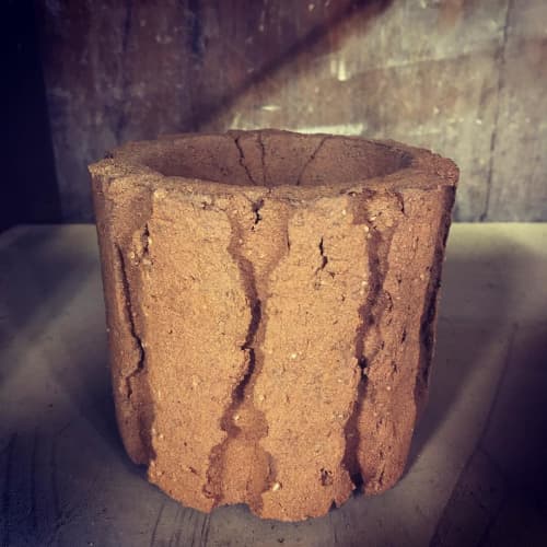 Adenium Obesum | Vase in Vases & Vessels by COM WORK STUDIO | Tula Plants & Design in Brooklyn. Item composed of ceramic