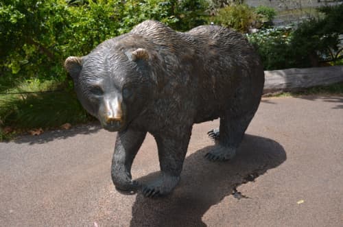 California Grizzly | Public Sculptures by Scientific Art Studio | San Francisco Zoo in San Francisco