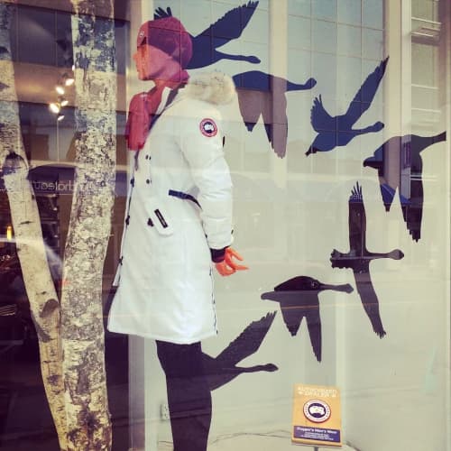 Canada Goose Window Mural | Murals by Christian Toth Art | Dugger's Mens Wear in Halifax. Item made of synthetic