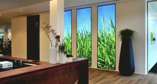 Rica Belna - Back-lit art: Grasses | Photography by Rica Belna | Palestro in Stuttgart