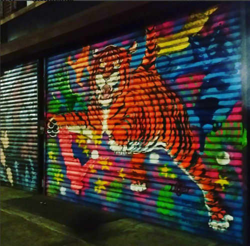 100 Gates Project and Meow Parlor | Street Murals by Ashli Sisk | Lower East Side in New York