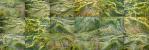 Leaves of Grass (Homage To Walt Whitman) | Photography by Lisa Levine. Item made of paper compatible with contemporary style