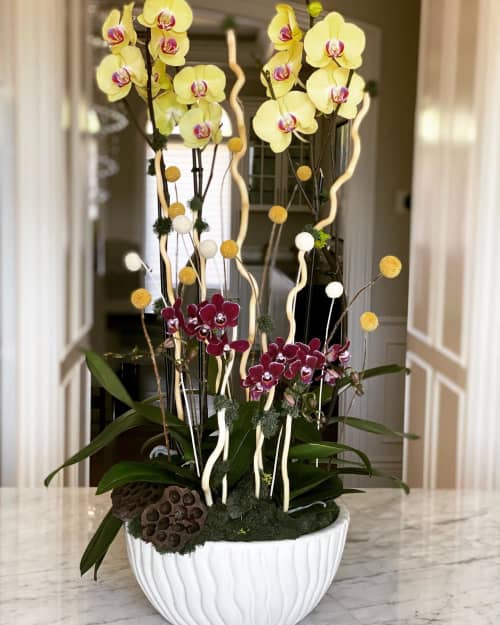 Orchids and Dried Craspedia | Floral Arrangements by Fleurina Designs