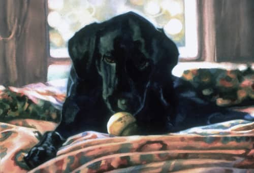 Lewis Loves Balls | Watercolor Painting in Paintings by Karen Frey | Renown Regional Medical Center in Reno. Item composed of paper and synthetic