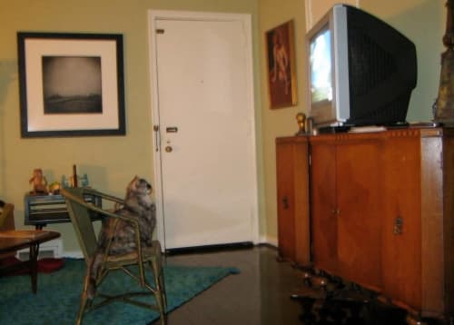 Photography | Photography by Craig Bromley. Item made of paper