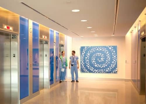 Toile Garden | Art & Wall Decor by Susan Graham | Johns Hopkins Hospital, Sheikh Zayed Tower in Baltimore