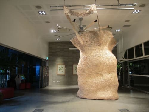 The Cairns Piece | Sculptures by Jonathan Brilliant | Cairns Botanic Gardens in Edge Hill. Item made of wood