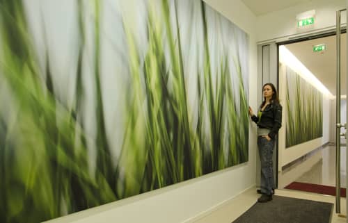 RicaBelna_Grasses_09k_1234_M | Photography by Rica Belna | AdvoService in Berlin. Item composed of paper