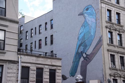 Pinyon Jay | Street Murals by Mary Lacy | 3668 Broadway in New York