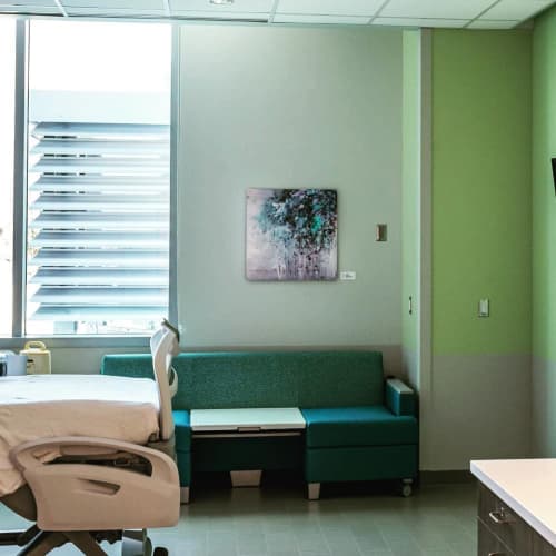 Botanical Painting | Prints by Cara Enteles Studio | Penn State Health Hampden Medical Center in Enola. Item composed of canvas