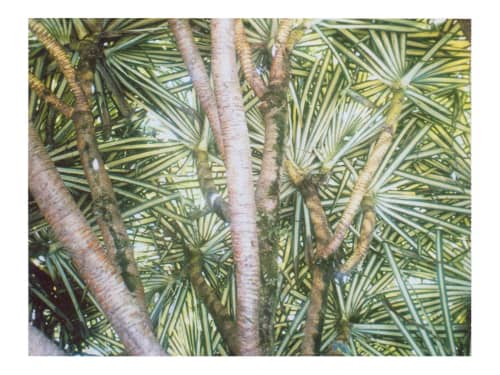 The third planet | Photography by She Hit Pause. Item made of paper