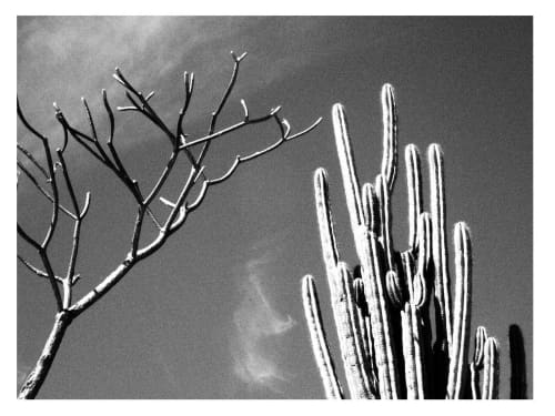2 best friends | Photography by She Hit Pause. Item composed of paper