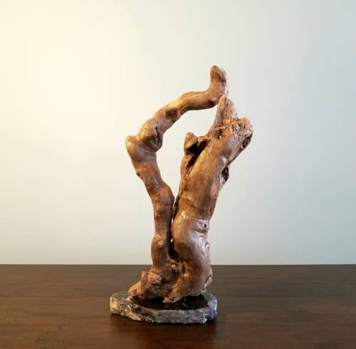 Driftwood Root Sculpture "Scenic Root" with Marble Base | Sculptures by Sculptured By Nature  By John Walker. Item made of wood compatible with minimalism style