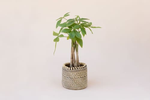 6" Braided Money Tree Plant + Planter Basket | Vases & Vessels by NEEPA HUT. Item made of wood