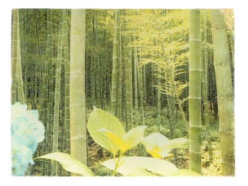 In a Japanese Forest | Photography by She Hit Pause. Item made of paper