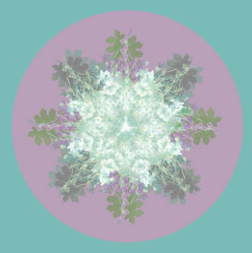 Botanical mandala #6 | Photography by Louise O'Gorman