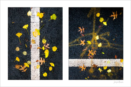 Street Lines #01: Street Lines and Yellow Leaves | Photography by Susan Bowen Photos