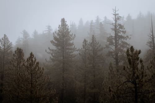 Pacific Crest Trail | Photography by Korbin Bielski Fine Art Photography