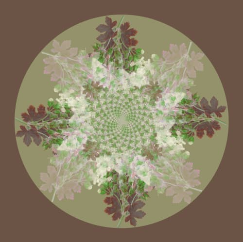 Botanical Mandala #2 | Photography by Louise O'Gorman