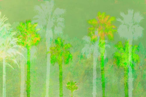 Tropical Tapestry | Photography by Louise O'Gorman